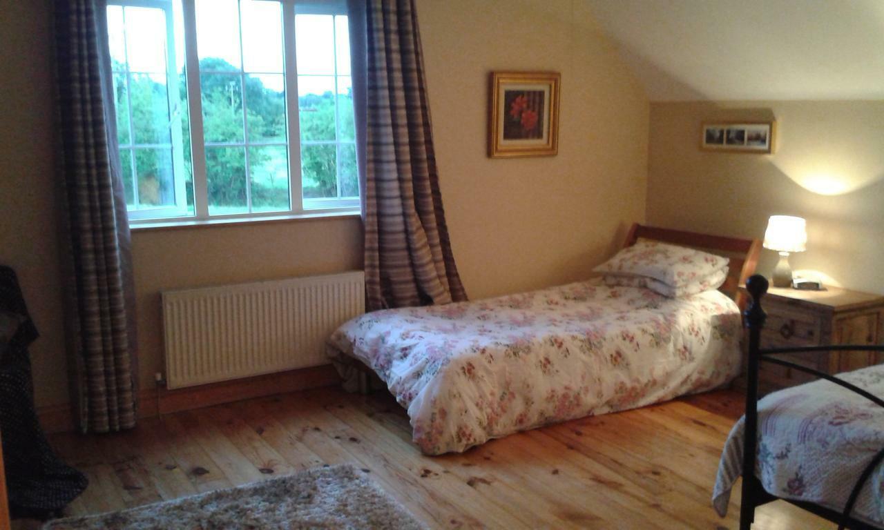 Sherlockstown White Swan Bed & Breakfast エクステリア 写真
