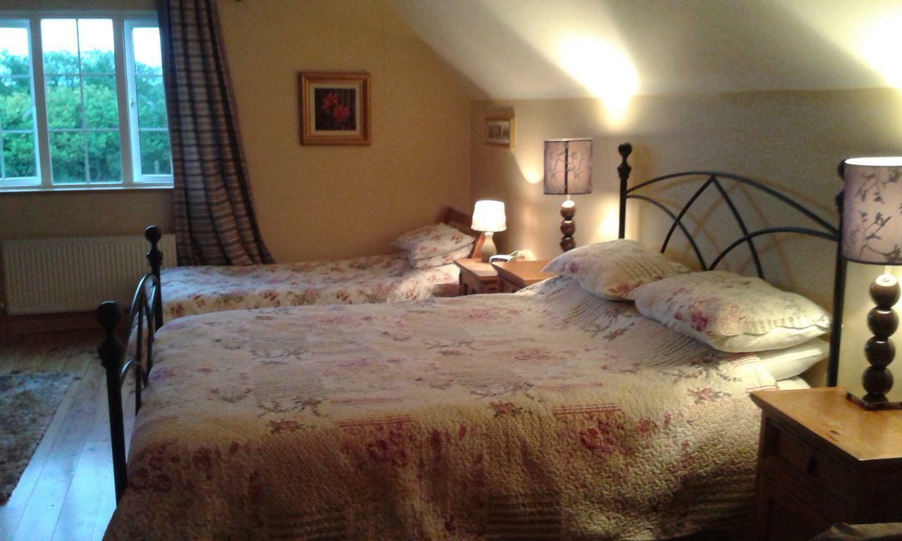 Sherlockstown White Swan Bed & Breakfast エクステリア 写真